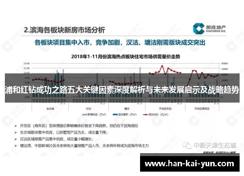 浦和红钻成功之路五大关键因素深度解析与未来发展启示及战略趋势